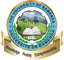 National Polytechnic University Institute Bamenda